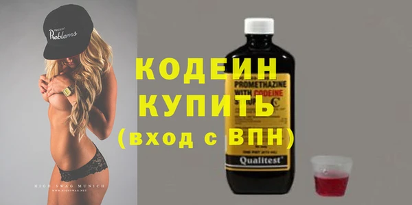мдпв Верея
