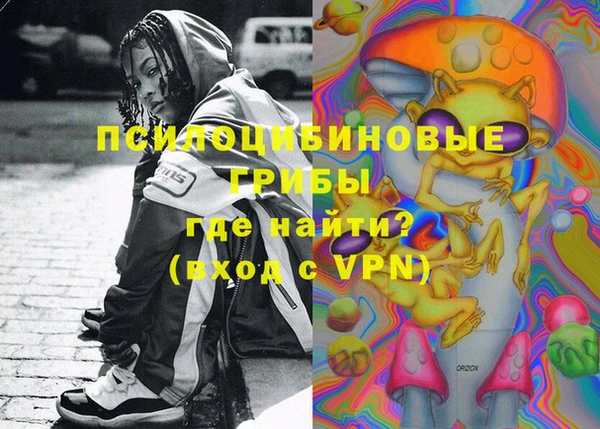 шишки Волосово