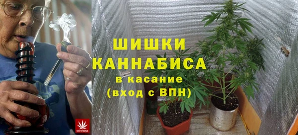 мдпв Верея